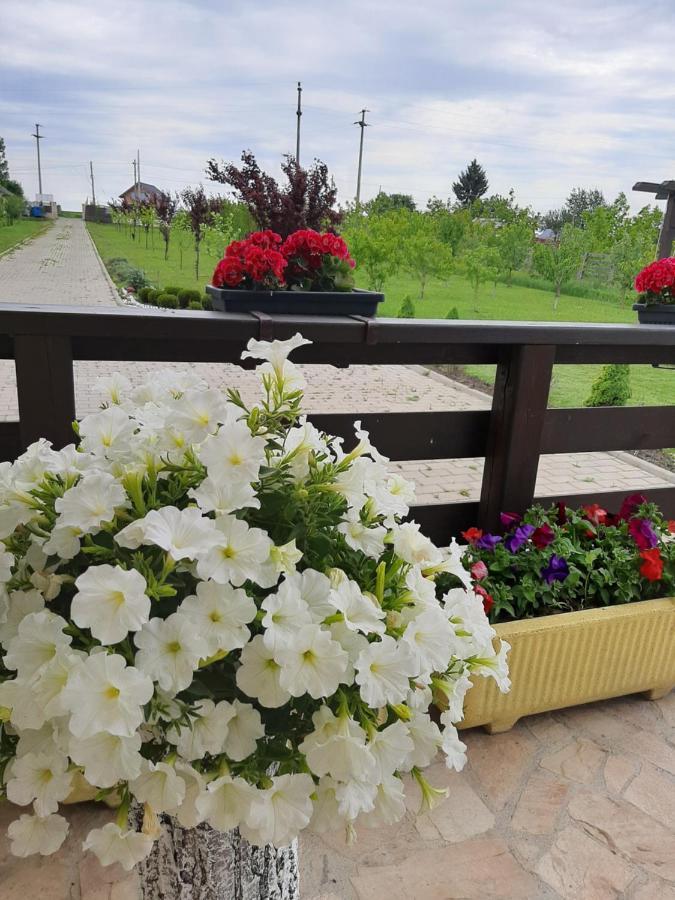 Dor De Casa Hotel Doljesti Bagian luar foto