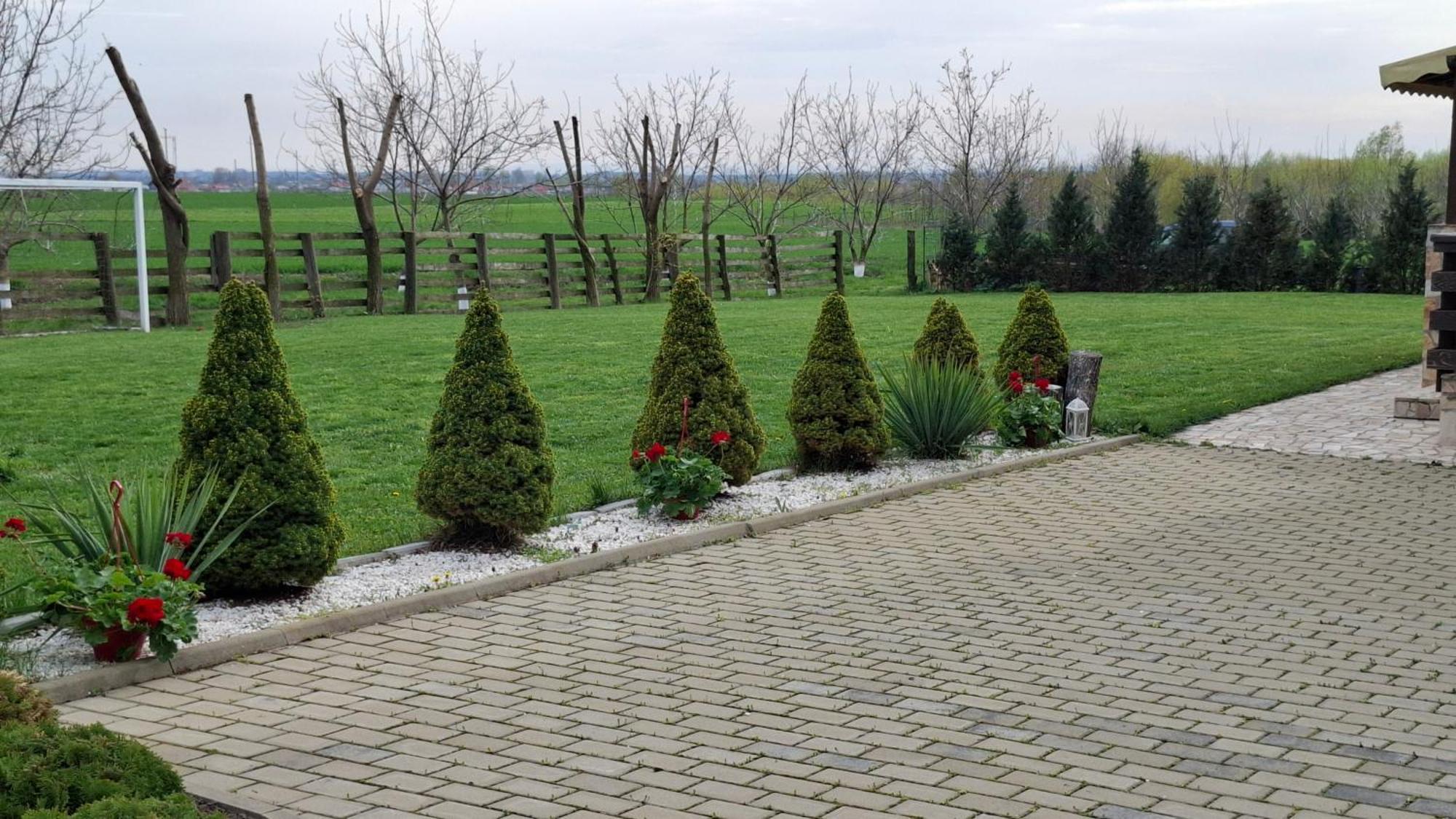 Dor De Casa Hotel Doljesti Bagian luar foto